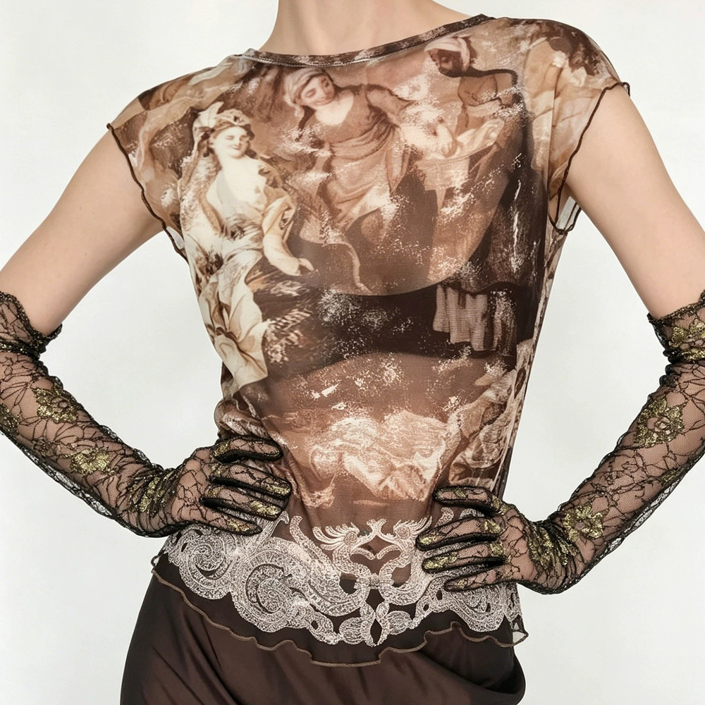Zara Vintage Artistic Retro Print Ruffle Sheer Short Sleeve Mesh Top Wasteland